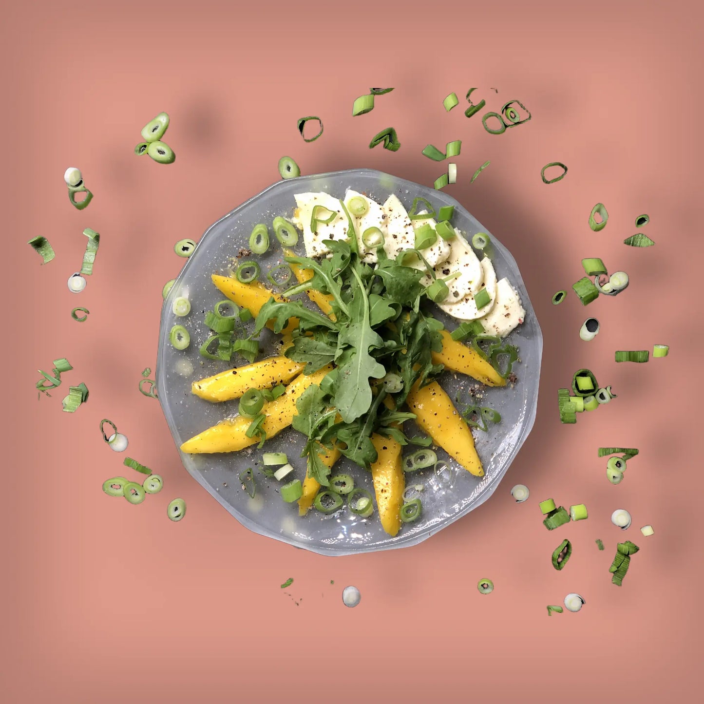 Mango Mozzarella Salat – Box